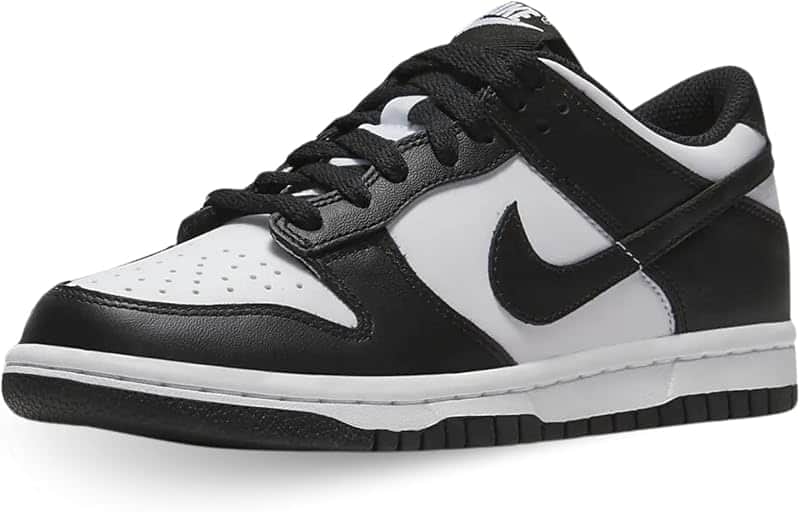 Kid's Dunk Low Sneaker