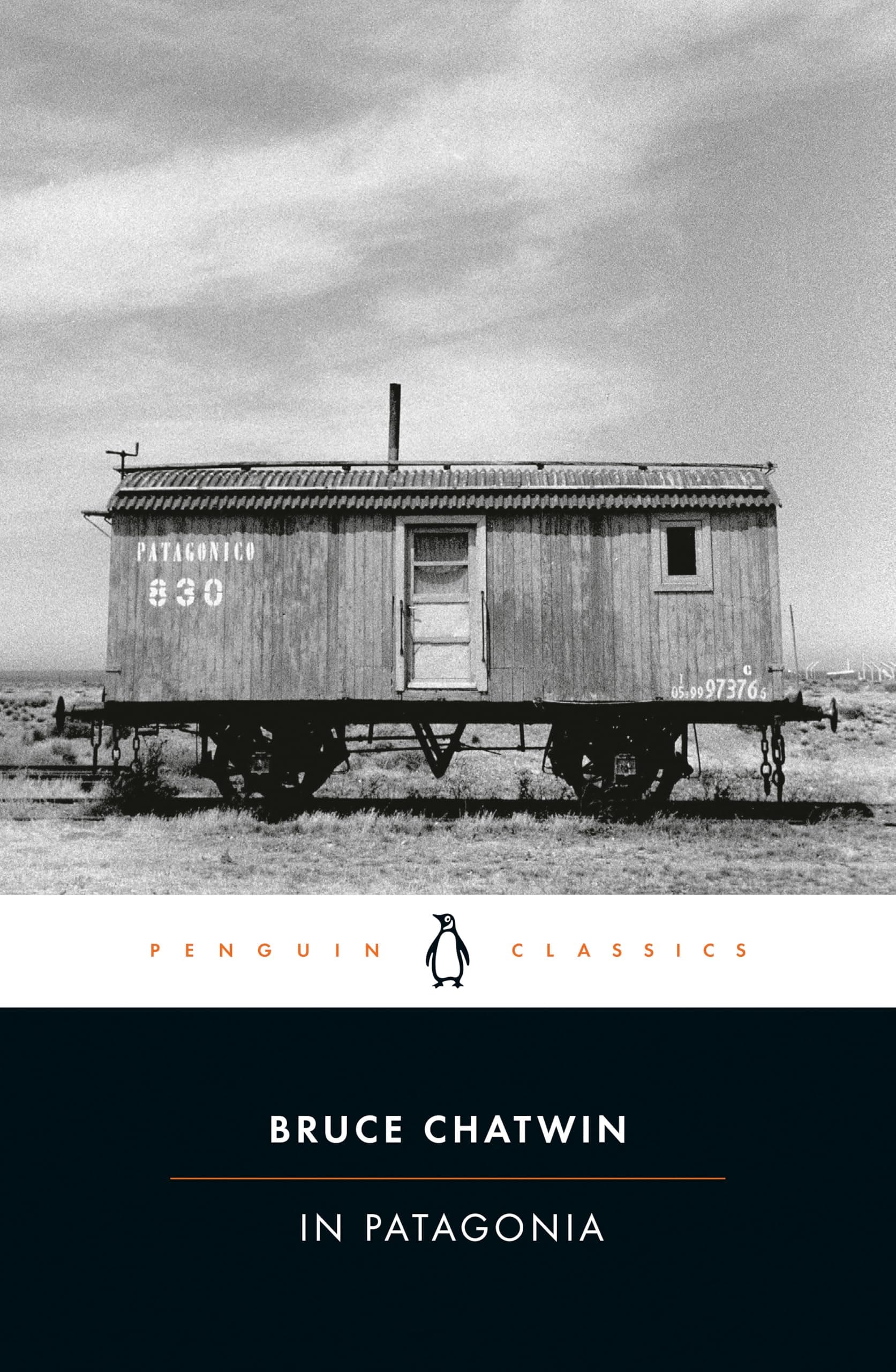 In Patagonia (Penguin Classics)