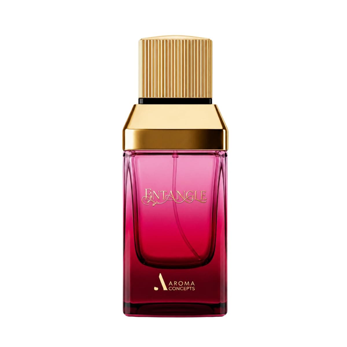 AROMA CONCEPTS Entangle EDP Perfume Women's Fragrance 3.4 Fl Oz