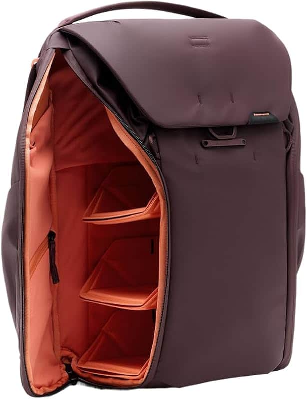 Everyday Backpack 20L, Eclipse, MagLatch Top, Dual Side Access, FlexFold Dividers, Fits 1…