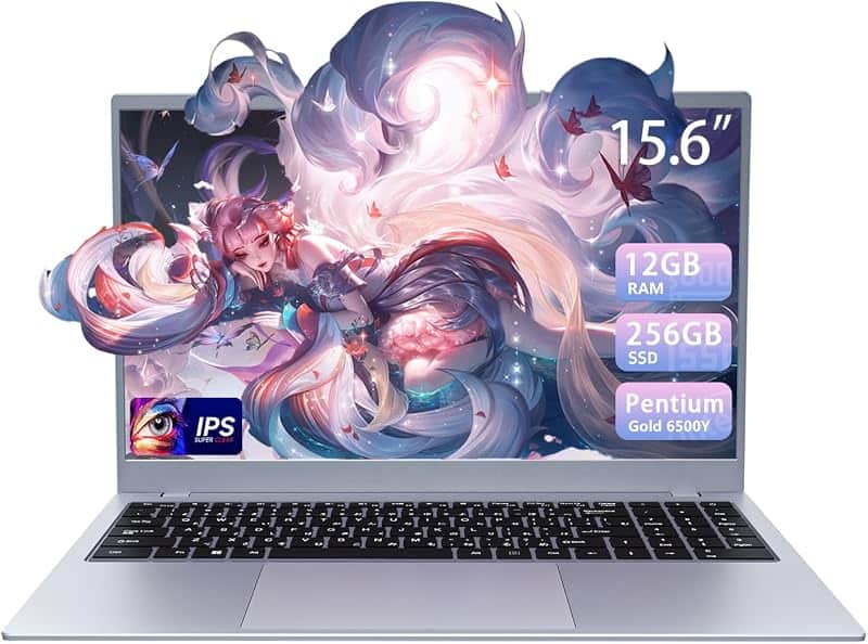 BLUEING 15.6 Inch Laptop Computer, Pentium Gold 6500Y (Beats Pentium, Celeron, Up to 3.4G…