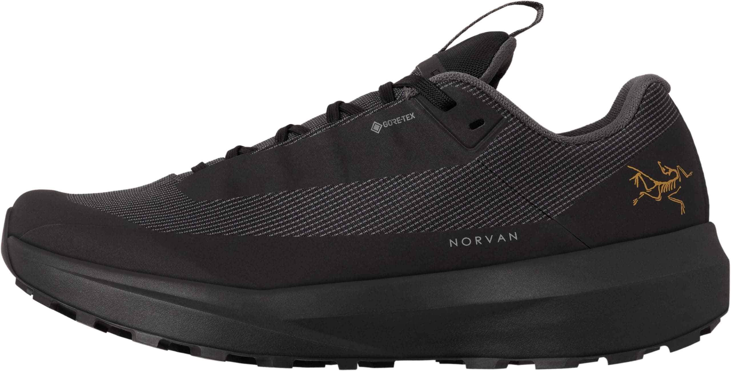 Men's Norvan LD 4 GTX Shoe