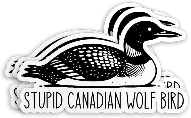 (3Pcs-2") Stupid Canadian Wolf Bird Sticker Ice Hockey Sports Romance Bookish Smut Reader…