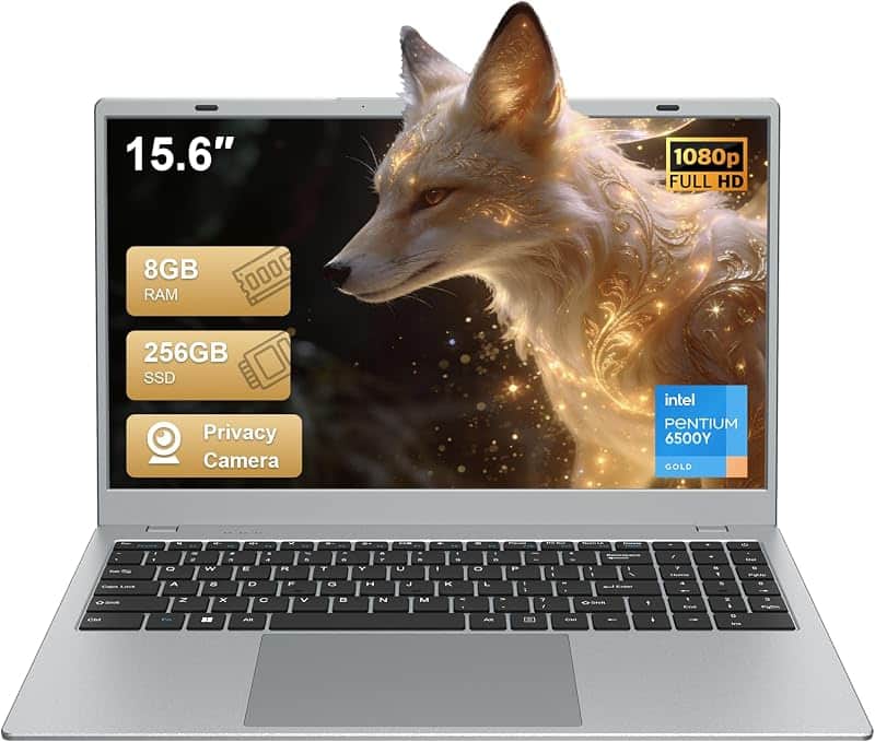 VIGSENUP15.6 FHD Laptop 8GB RAM 256GB SSD,CPU up to3.4GHz,Office Suite | Numeric Keypad,…