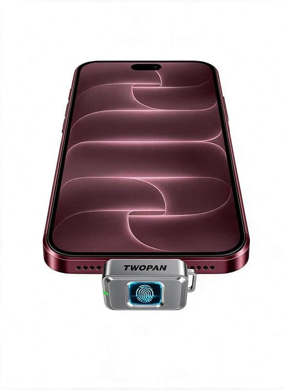 TWOPAN Nano SSD 256GB, External SSD Storage USB C Flash Drive with Fingerprint Lock, Up t…