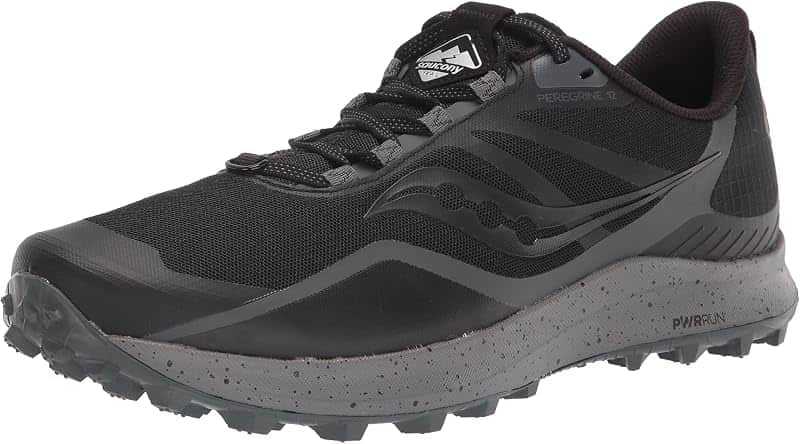Men's Peregrine 12 Sneaker