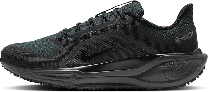Women's Pegasus 41 Gore-Tex Waterproof Road Running Shoes