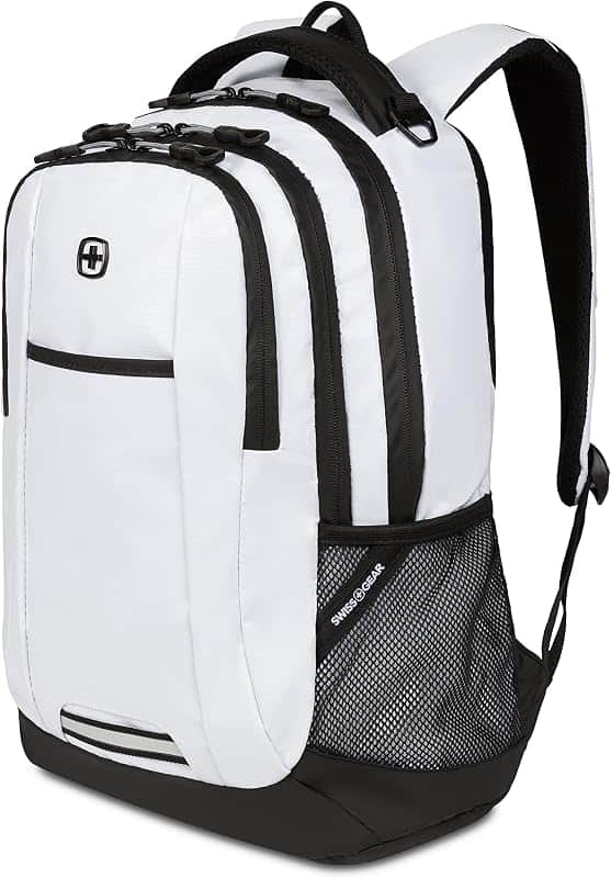 Cecil 18-Inch Laptop Backpack Fits 16-Inch Laptop, Travel Daypack with Organizer Pockets,…