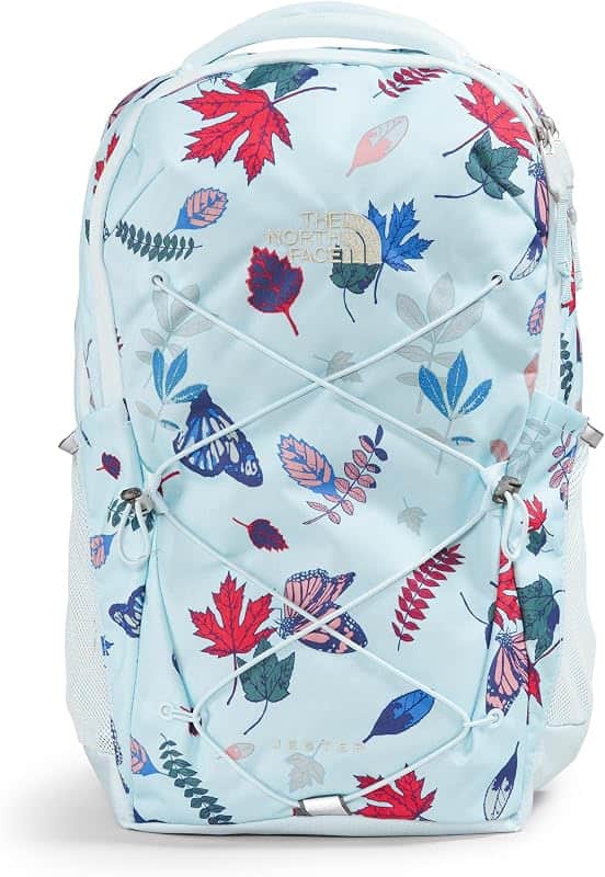 Women's Every Day Jester Laptop Backpack, Icecap Blue Fall Wanderer Print/Icecap Blue/Gra…