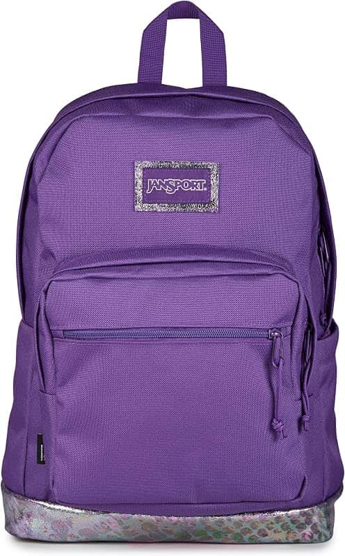 Right Pack Expressions Backpack – 15-inch Padded Laptop Compartment, Water Bottle Pocket,…